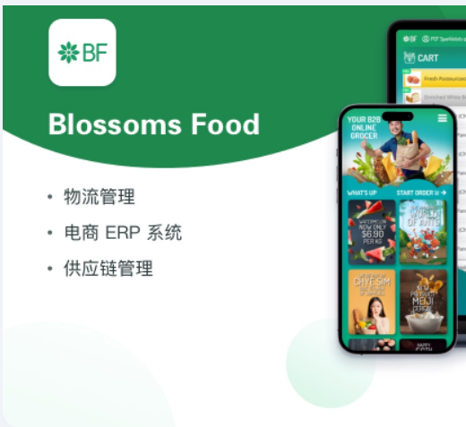 软件开发物联网开发各行业系统定制AI人工智能训练